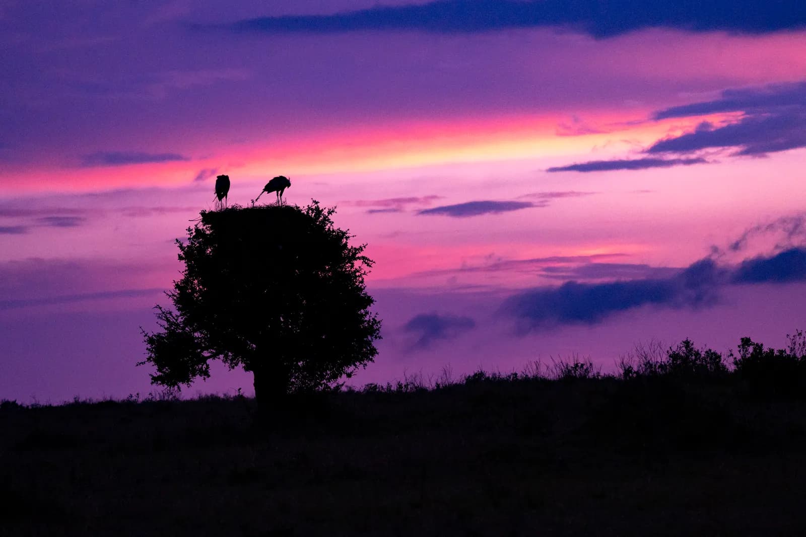 5-Day Tsavo East & West 5-Day Tsavo East & West