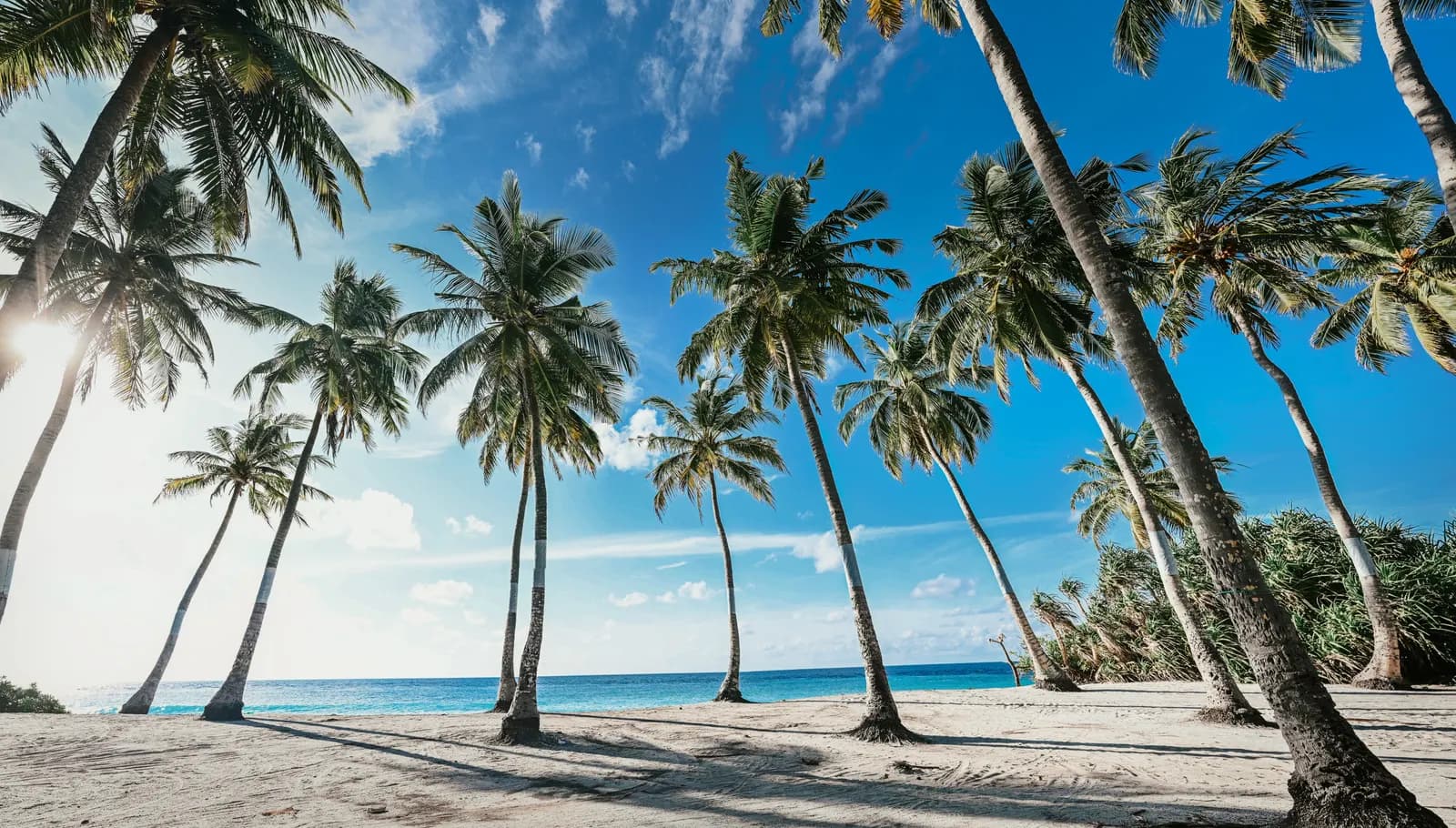 3-Day Diani Beach Escape