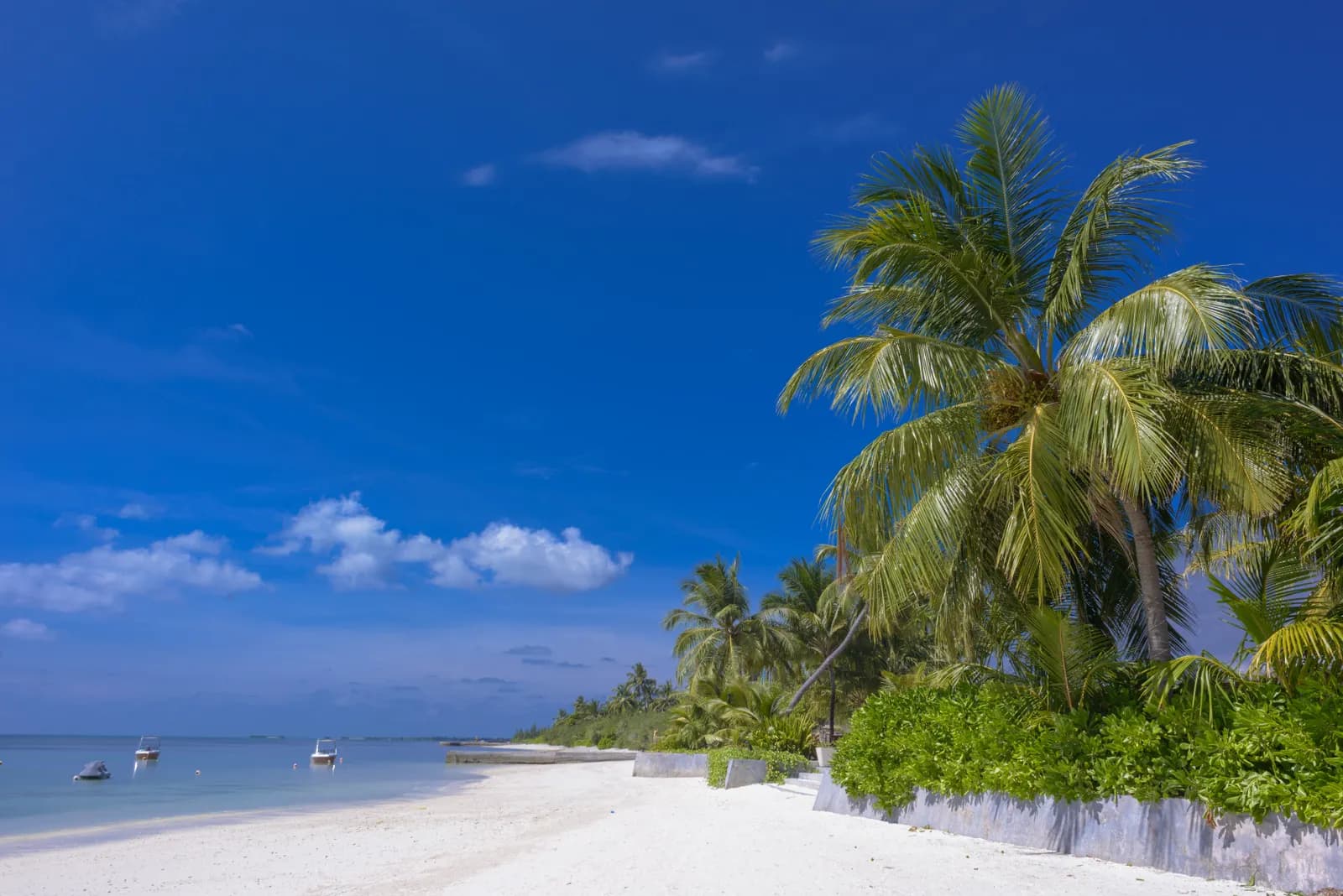 3-Day Diani Beach Escape