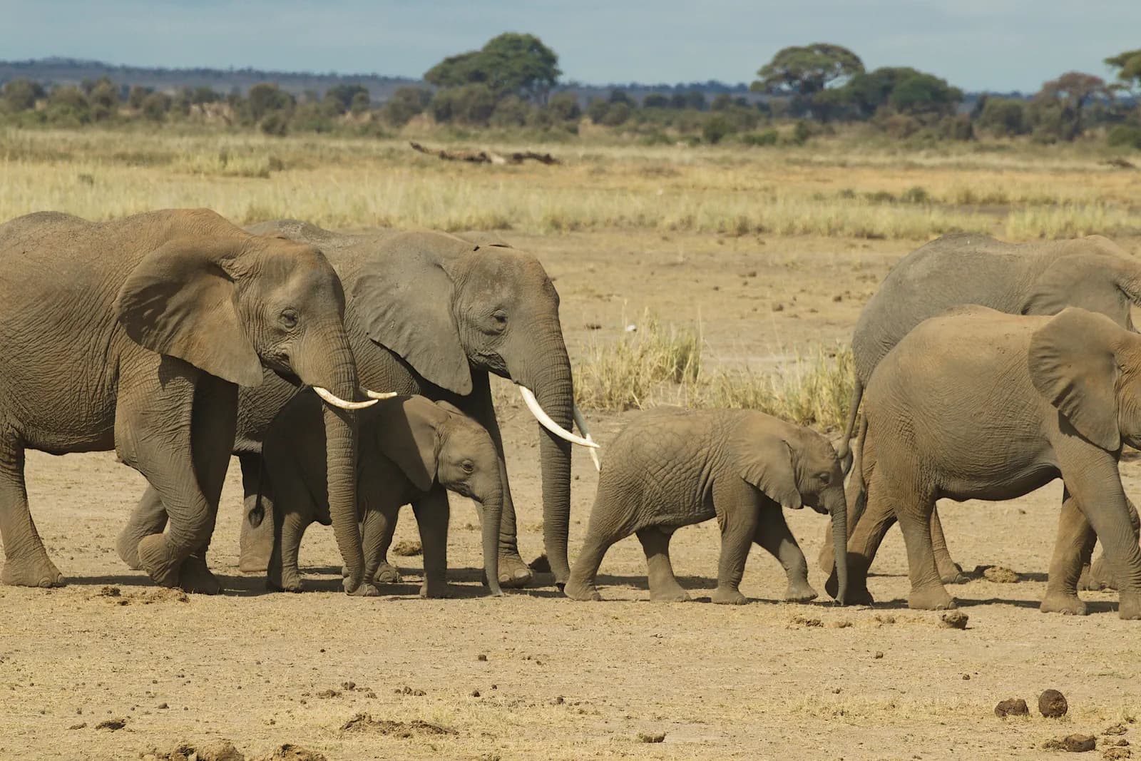 5-Day Tsavo East & West 5-Day Tsavo East & West