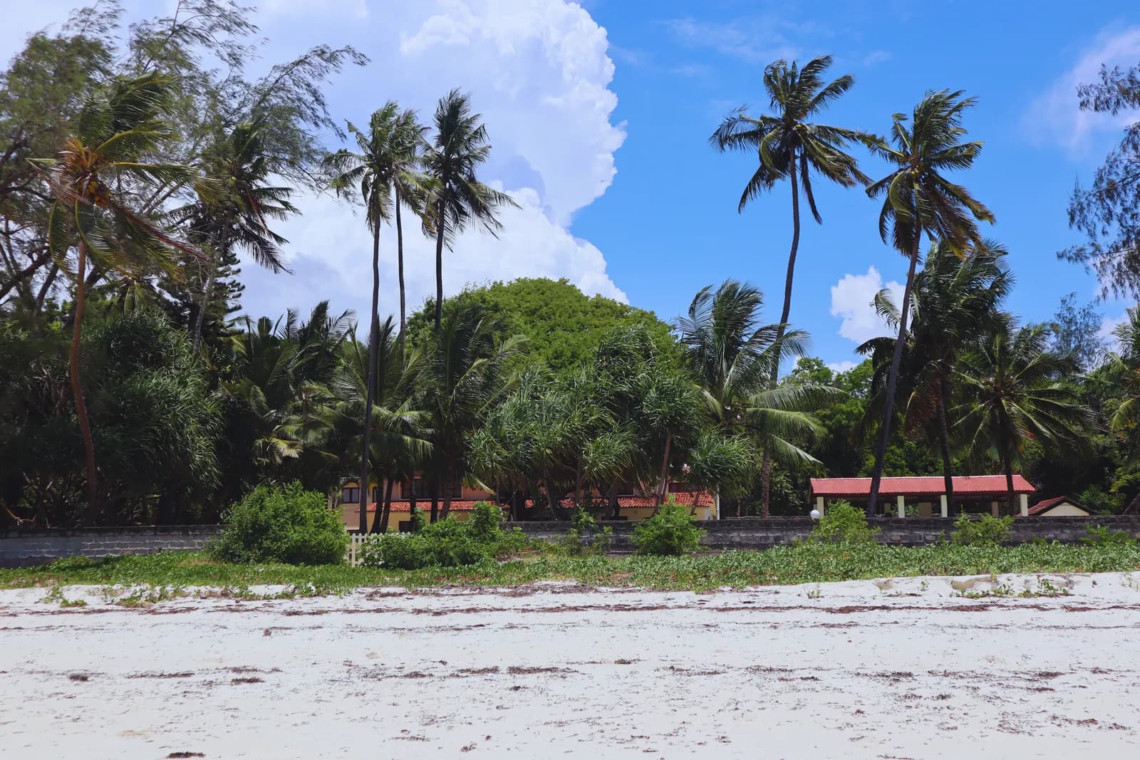 Diani vs Watamu vs Lamu: Which Kenyan Beach Is Yours? Diani vs Watamu vs Lamu: Which Kenyan Beach Is Yours?