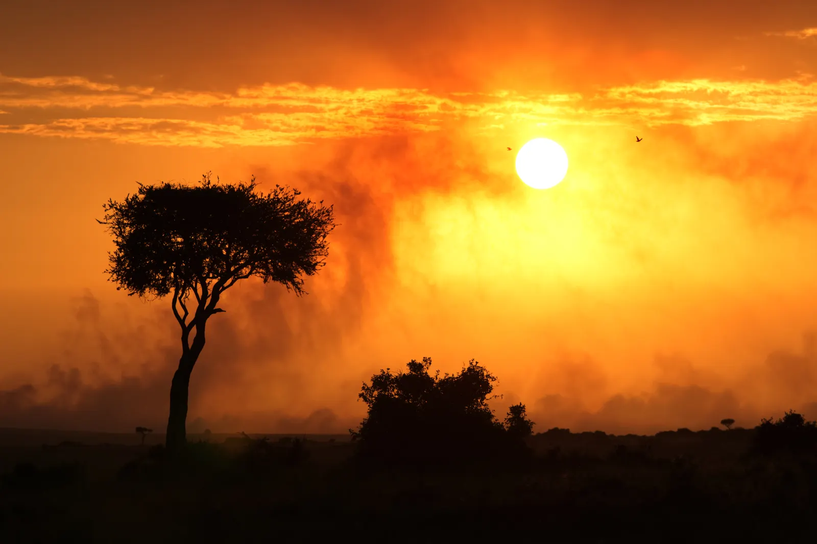 5-Day Tsavo East & West 5-Day Tsavo East & West