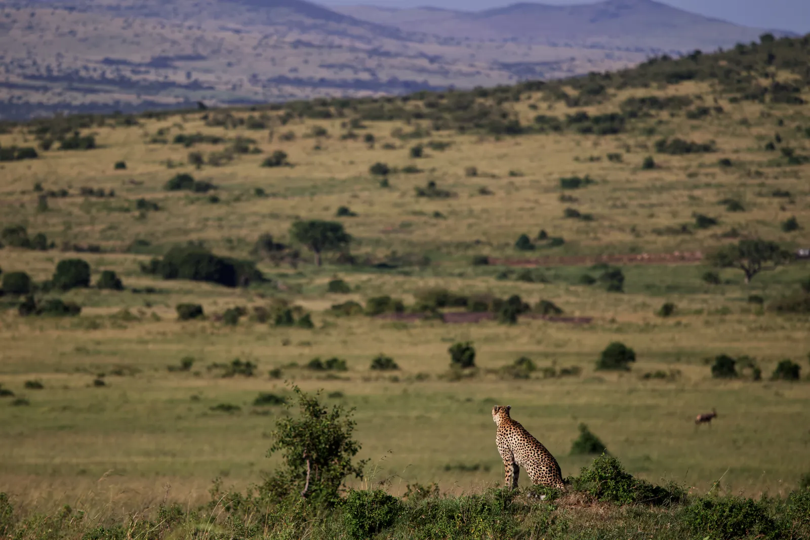 3-Day Samburu Wilderness 3-Day Samburu Wilderness