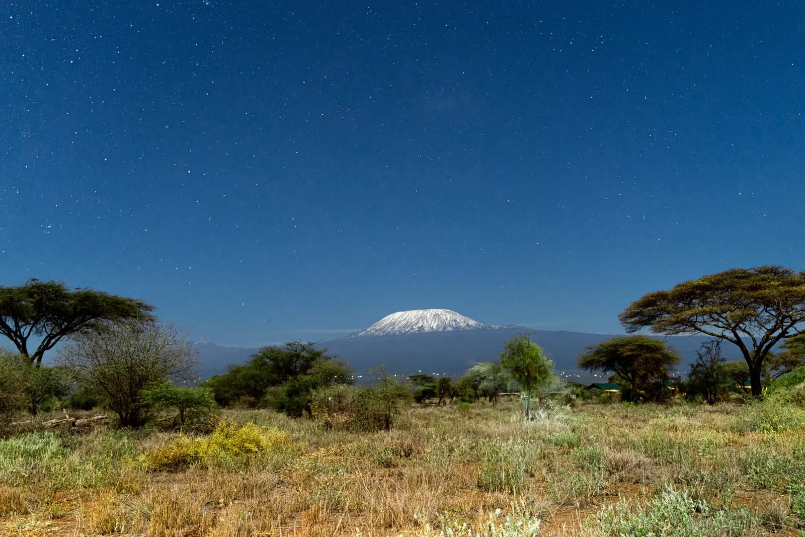 4-Day Amboseli & Kilimanjaro Views