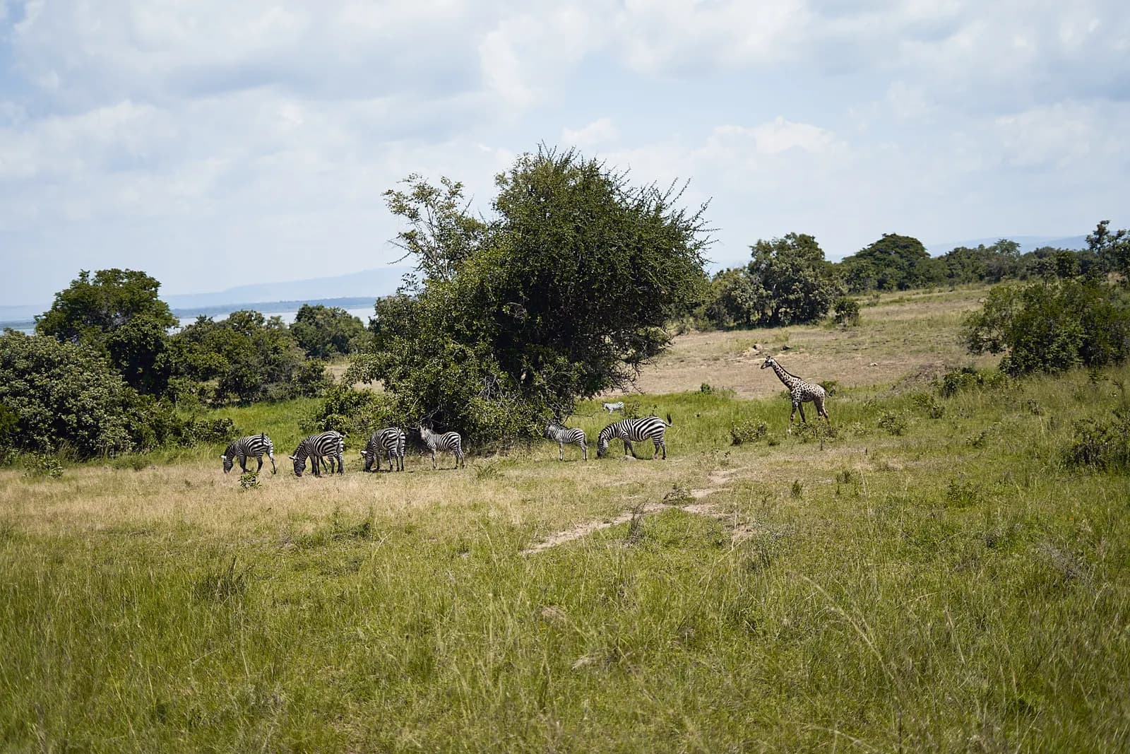 3-Day Samburu Wilderness 3-Day Samburu Wilderness