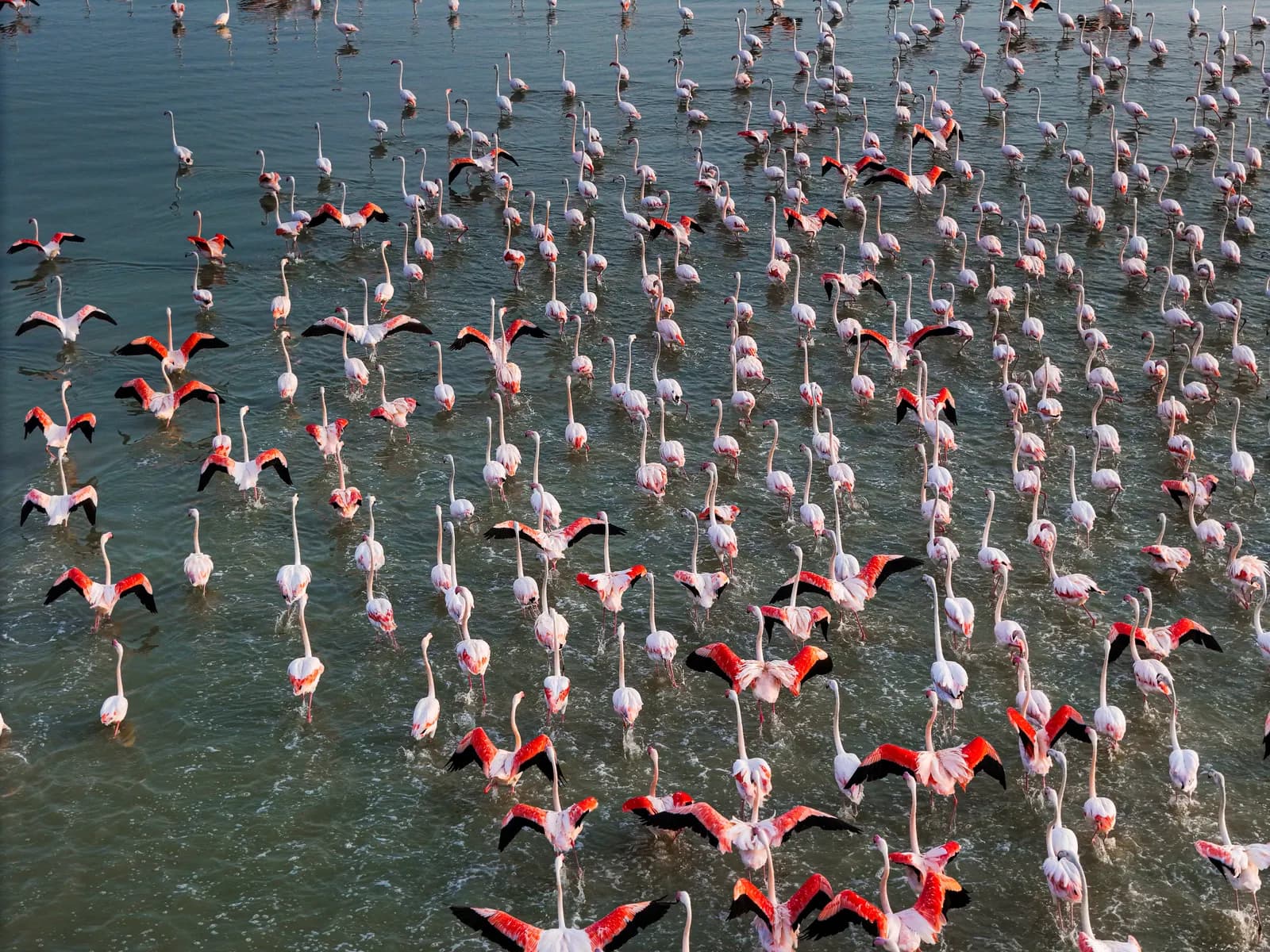 6-Day Classic Kenya Safari
