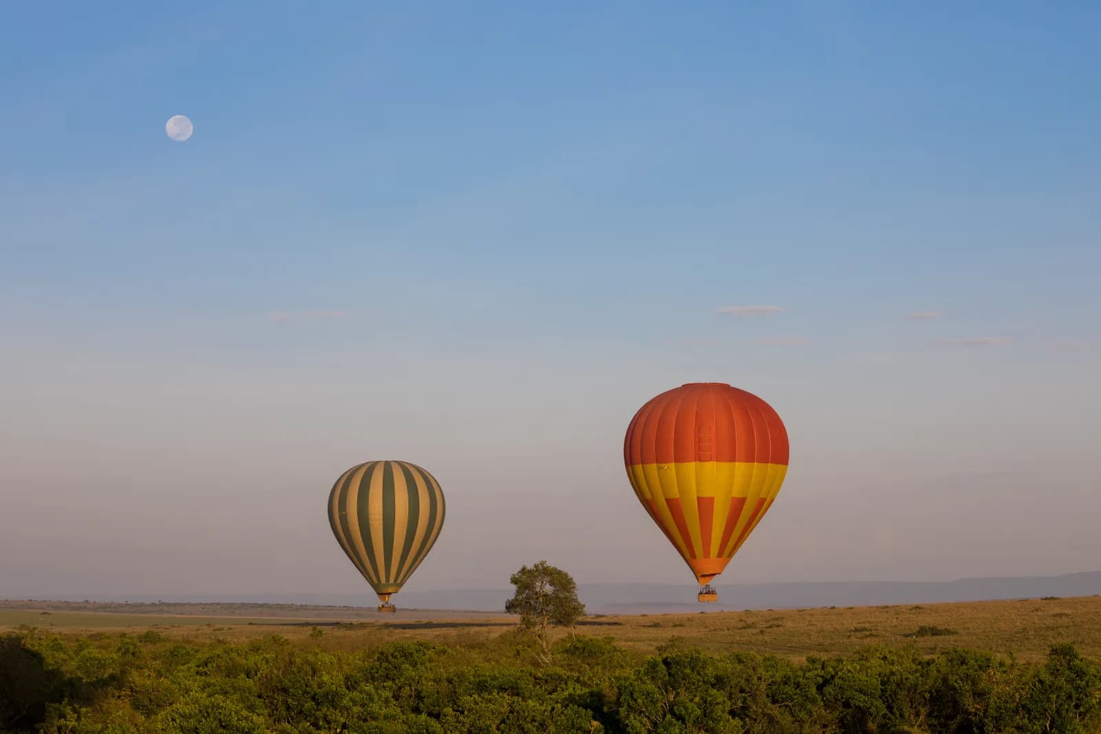 6-Day Great Migration Mara 6-Day Great Migration Mara