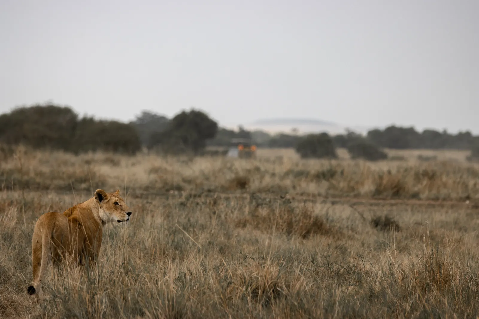 8-Day Kenya Highlights & Culture 8-Day Kenya Highlights & Culture