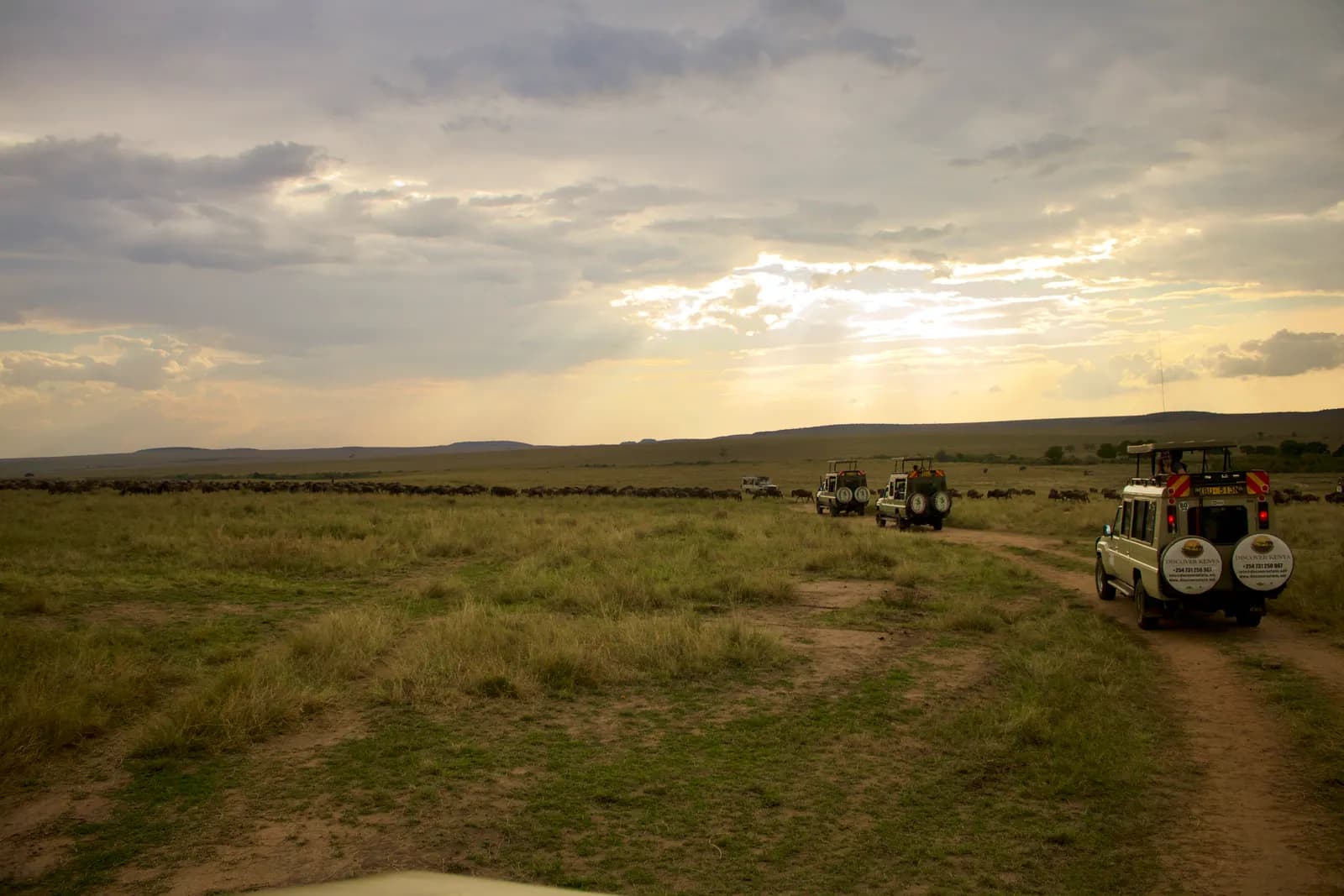 What to Pack for a Kenya Safari (And What to Leave) What to Pack for a Kenya Safari (And What to Leave)