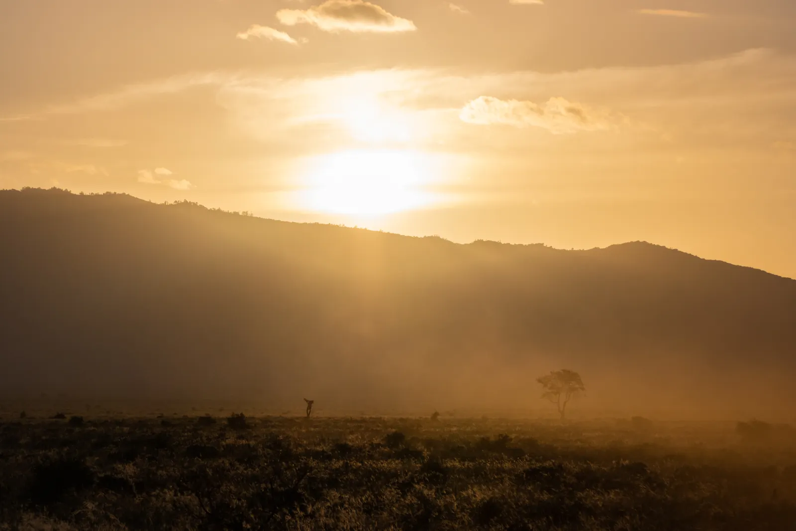 Tsavo East & West Tsavo East & West