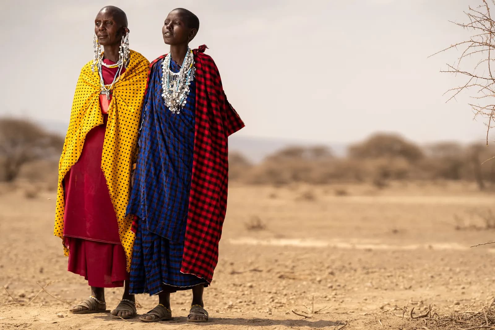 How to Safari Responsibly in Kenya How to Safari Responsibly in Kenya